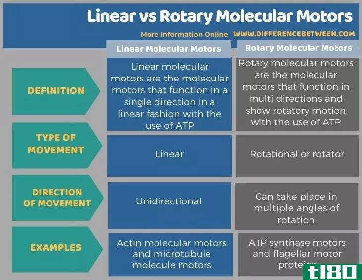 线性的(linear)和旋转分子马达(rotary molecular motors)的区别