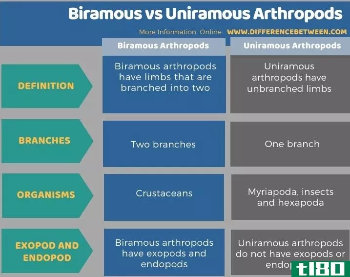 双性恋(biramous)和单枝节肢动物(uniramous arthropods)的区别