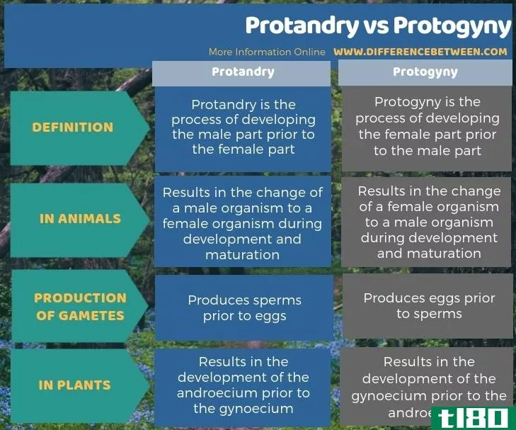 保护区(protandry)和雌雄同体(protogyny)的区别