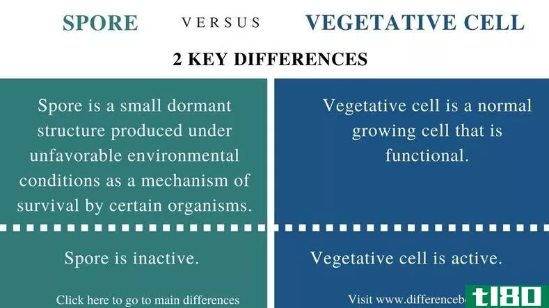 孢子(spore)和营养细胞(vegetative cell)的区别
