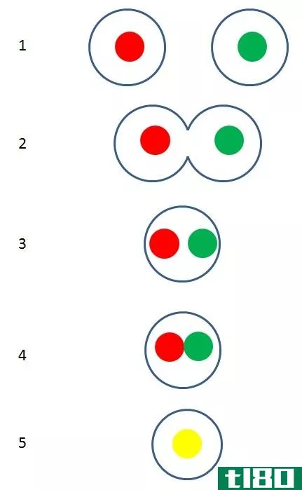 浆细胞(pla**ogamy)和核分裂(karyogamy)的区别