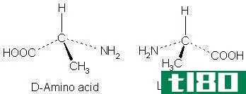 左边(left)和右旋氨基酸(right handed amino acids)的区别