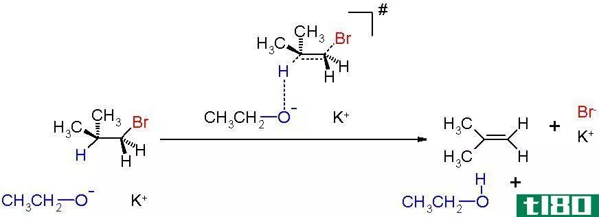 e1(e1)和e2反应(e2 reacti***)的区别