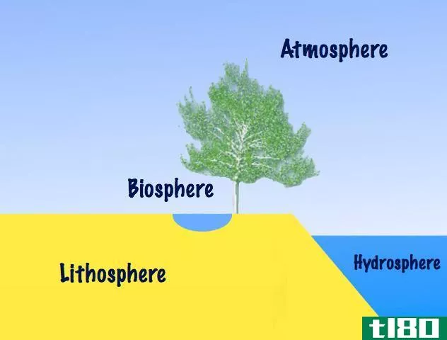 生物圈(biosphere)和岩石圈(lithosphere)的区别