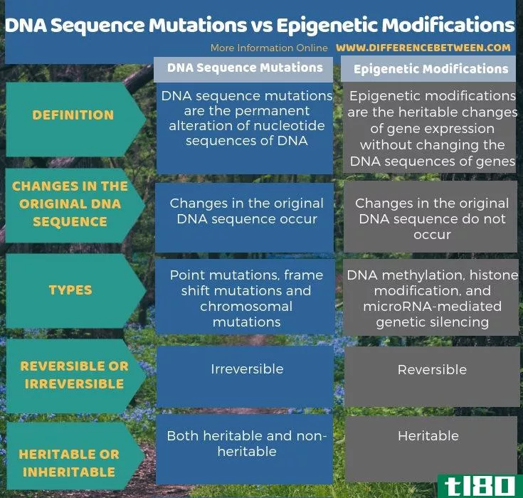 dna序列突变(dna sequence mutati***)和表观遗传修饰(epigenetic modificati***)的区别