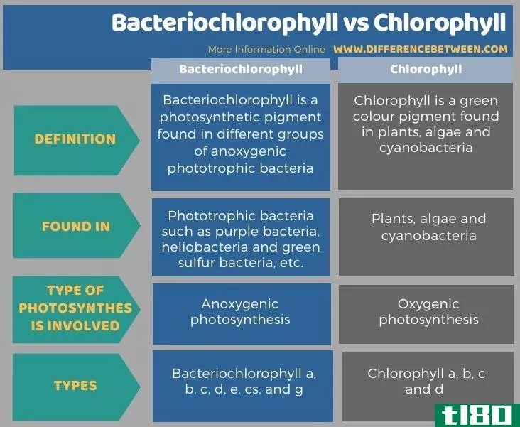 细菌叶绿素(bacteriochlorophyll)和叶绿素(chlorophyll)的区别