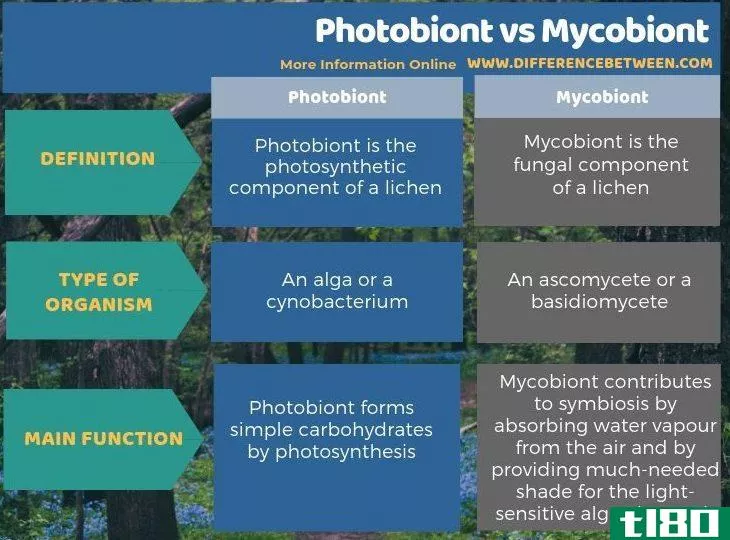 光生物(photobiont)和微生物(mycobiont)的区别
