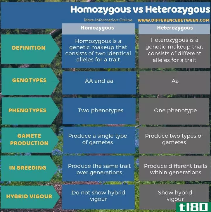 纯合(homozygous)和杂合子(heterozygous)的区别