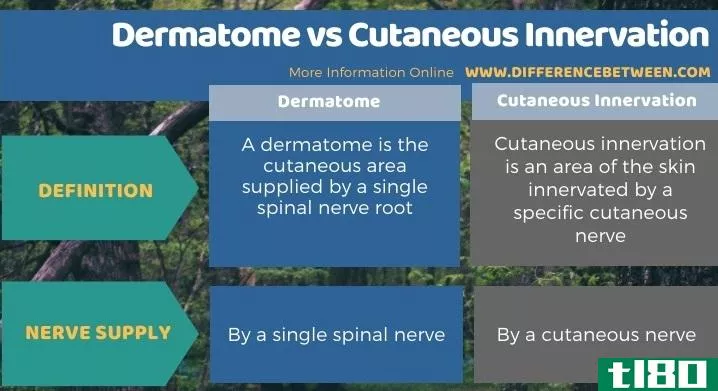 皮肤瘤(dermatome)和皮肤神经支配(cutaneous innervation)的区别