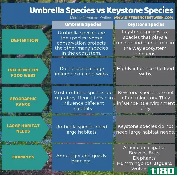 伞形物种(umbrella species)和梯形物种(keystone species)的区别