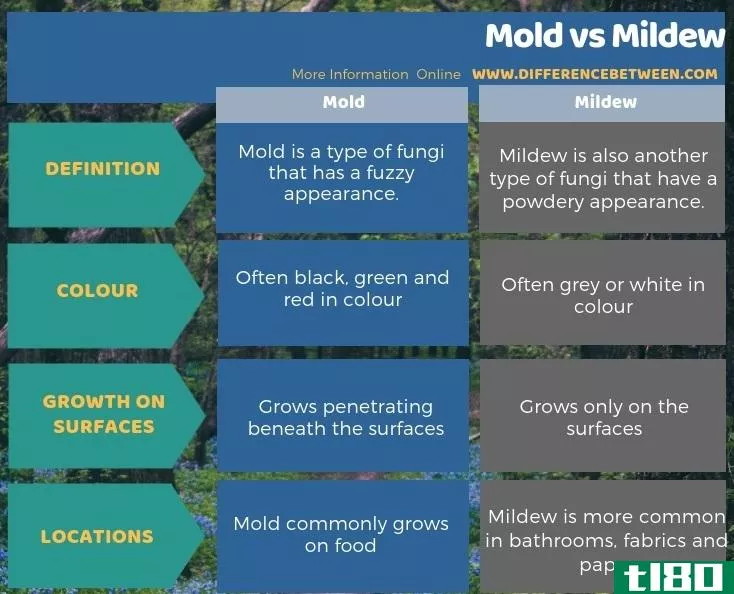 模具(mold)和霉病(mildew)的区别