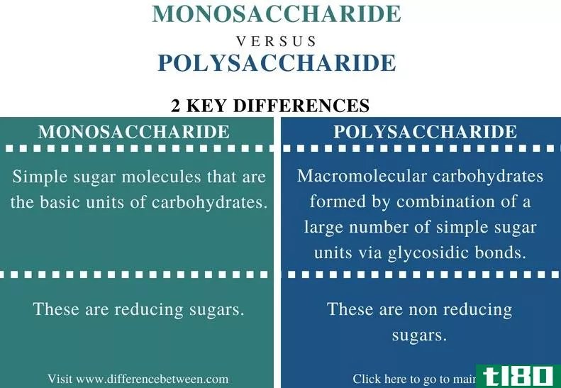 单糖(monosaccharide)和多糖(polysaccharide)的区别