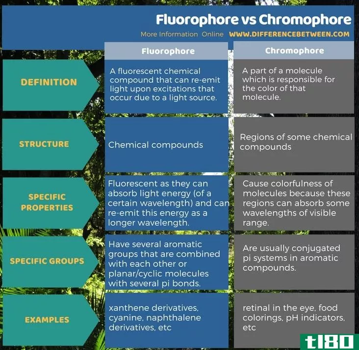 荧光团(fluorophore)和发色团(chromophore)的区别