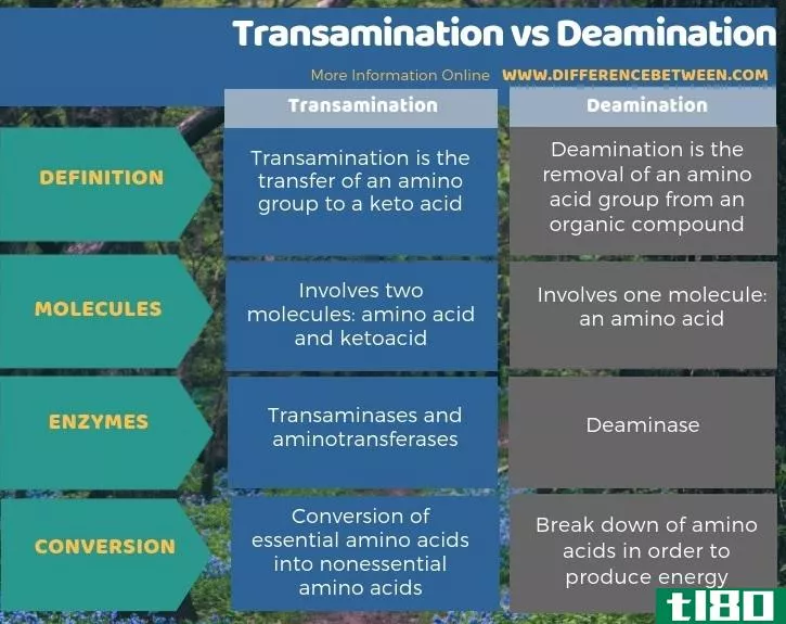 转氨作用(transamination)和脱氨基(deamination)的区别