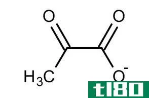 丙酮酸盐(pyruvate)和丙酮酸(pyruvic acid)的区别