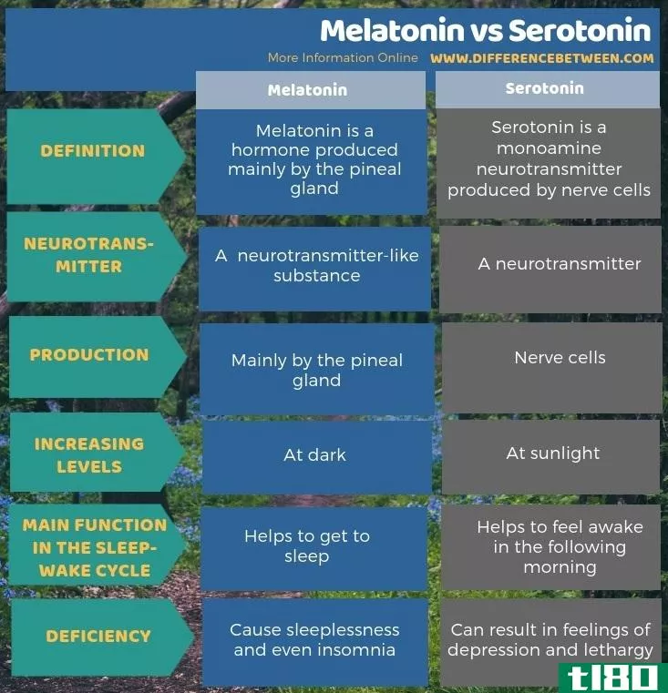 褪黑素(melatonin)和血清素(serotonin)的区别