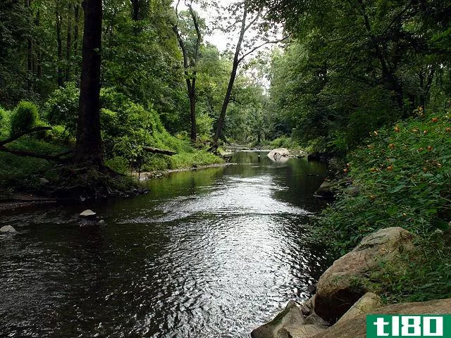 流动(stream)和小溪(creek)的区别