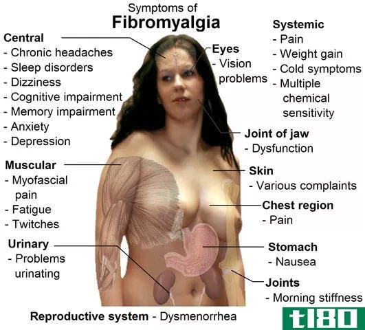 纤维肌痛(fibromyalgia)和关节炎(arthritis)的区别