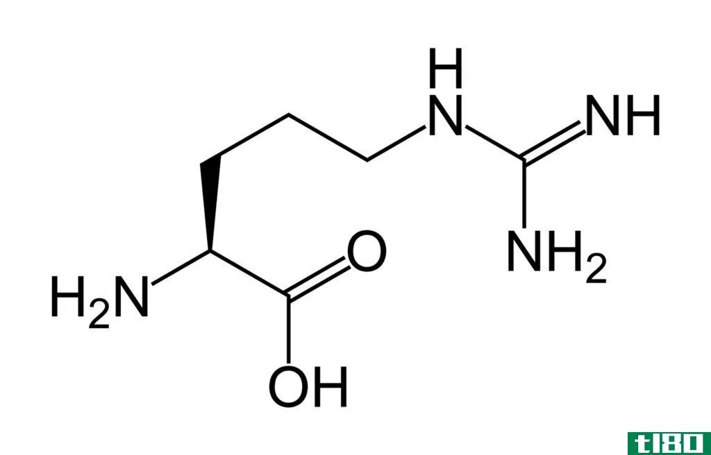 精氨酸(l arginine)和一氧化氮(nitric oxide)的区别