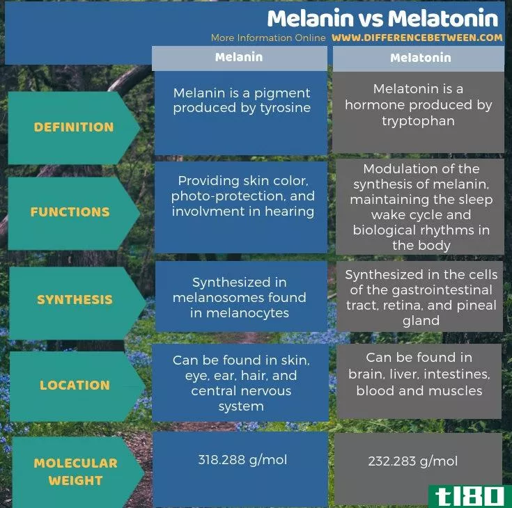 黑色素(melanin)和褪黑素(melatonin)的区别