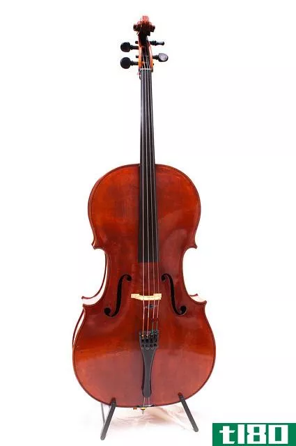 小提琴(violin)和大提琴(cello)的区别
