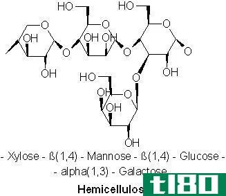 纤维素(cellulose)和半纤维素(hemicellulose)的区别