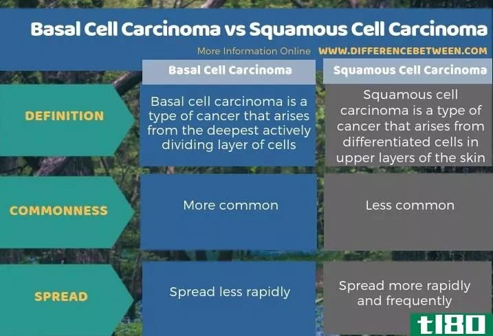 基底细胞癌(basal cell carcinoma)和鳞状细胞癌(squamous cell carcinoma)的区别