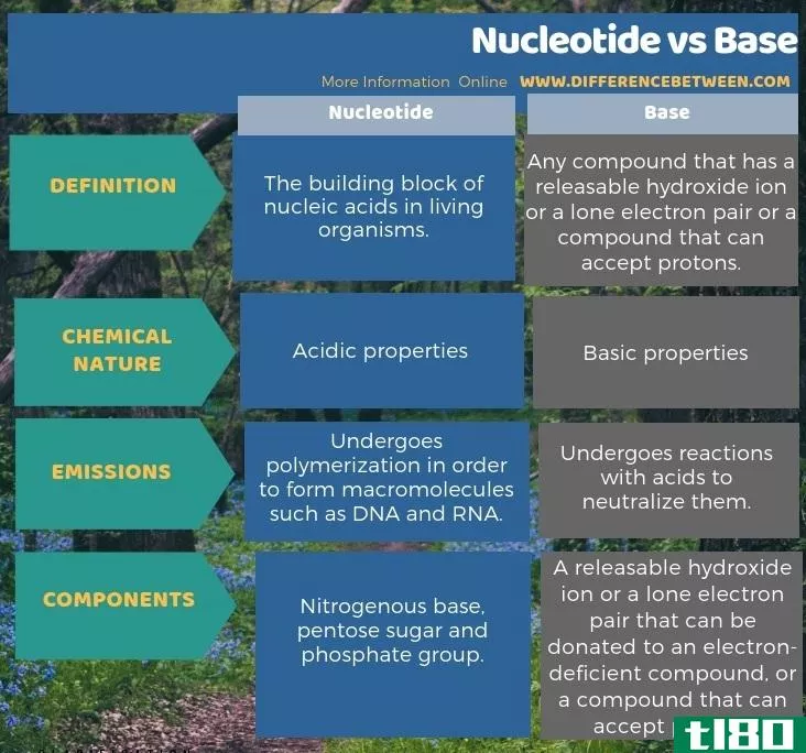 核苷酸(nucleotide)和基础(base)的区别