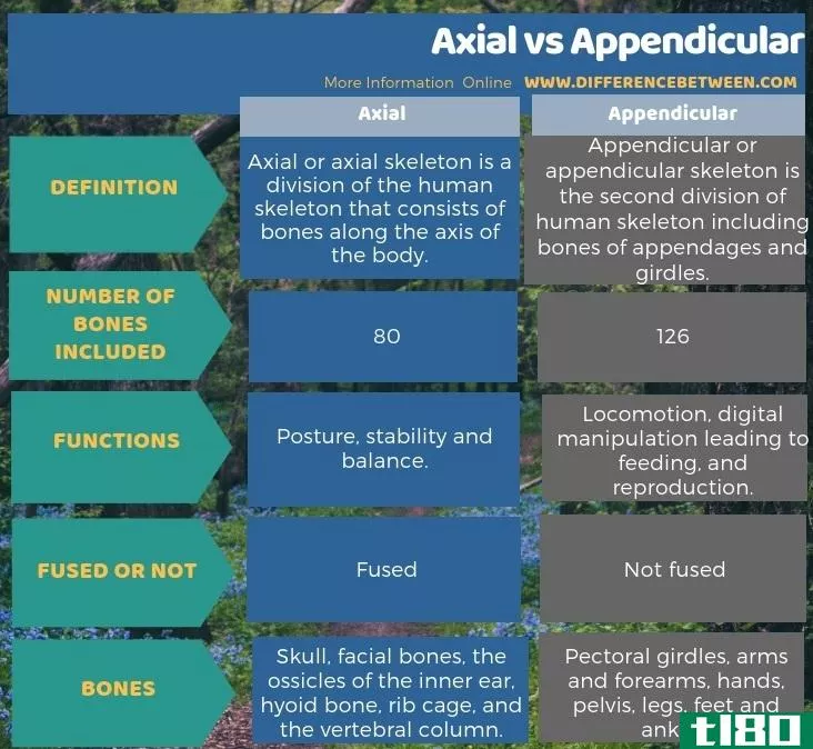 轴向(axial)和阑尾(appendicular)的区别