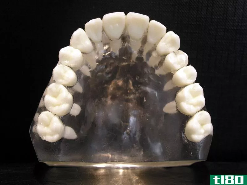 上颌(maxillary)和下颌磨牙(mandibular molars)的区别