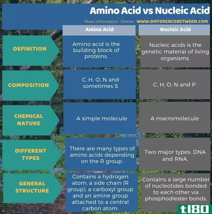 氨基酸(amino acid)和核酸(nucleic acid)的区别