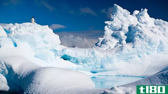 南极(antarctic)和南极洲(antarctica)的区别
