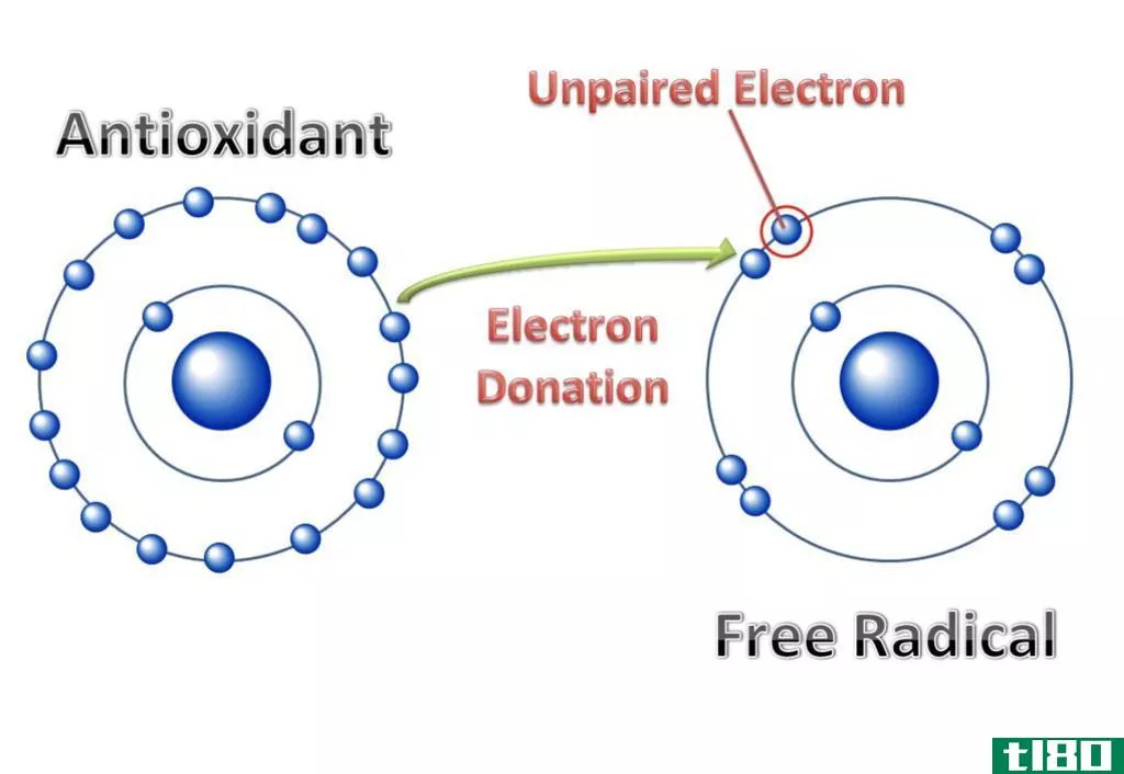 正电性(electropositive)和电负性自由基(electronegative radicals)的区别