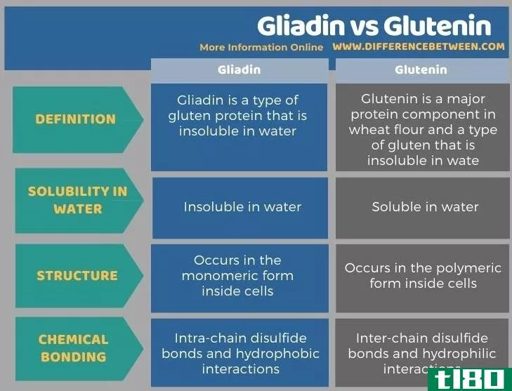 醇溶蛋白(gliadin)和麦谷蛋白(glutenin)的区别