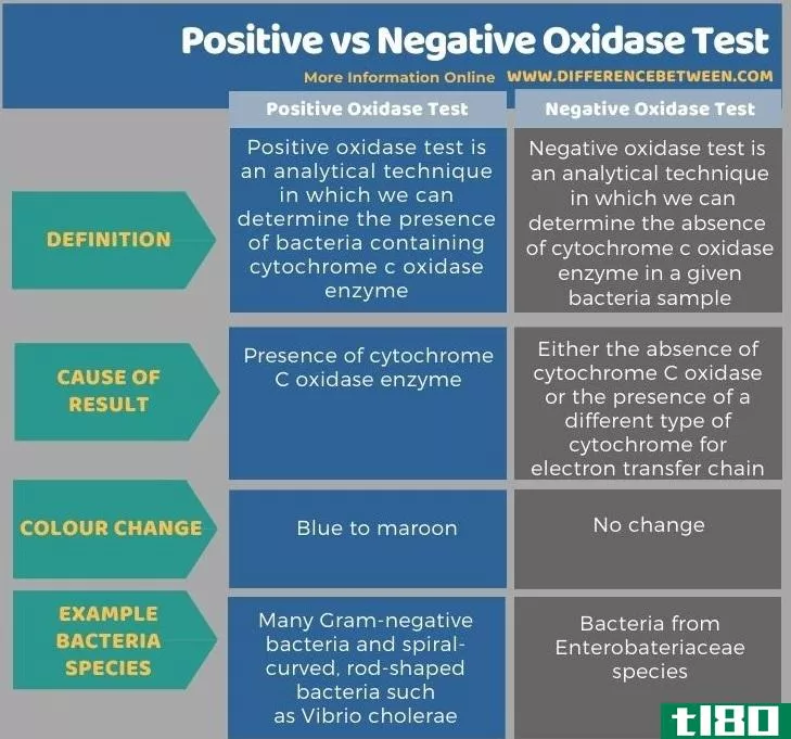 积极的(positive)和阴性氧化酶试验(negative oxidase test)的区别
