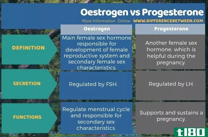 雌激素(oestrogen)和黄体酮(progesterone)的区别