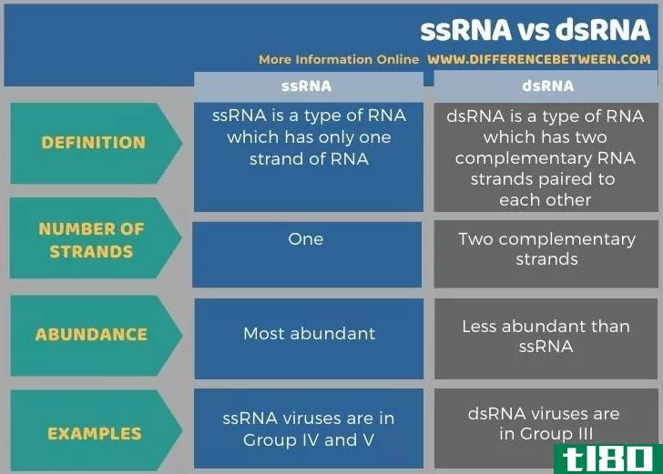 ssrna公司(ssrna)和脱氧核糖核酸(dsrna)的区别