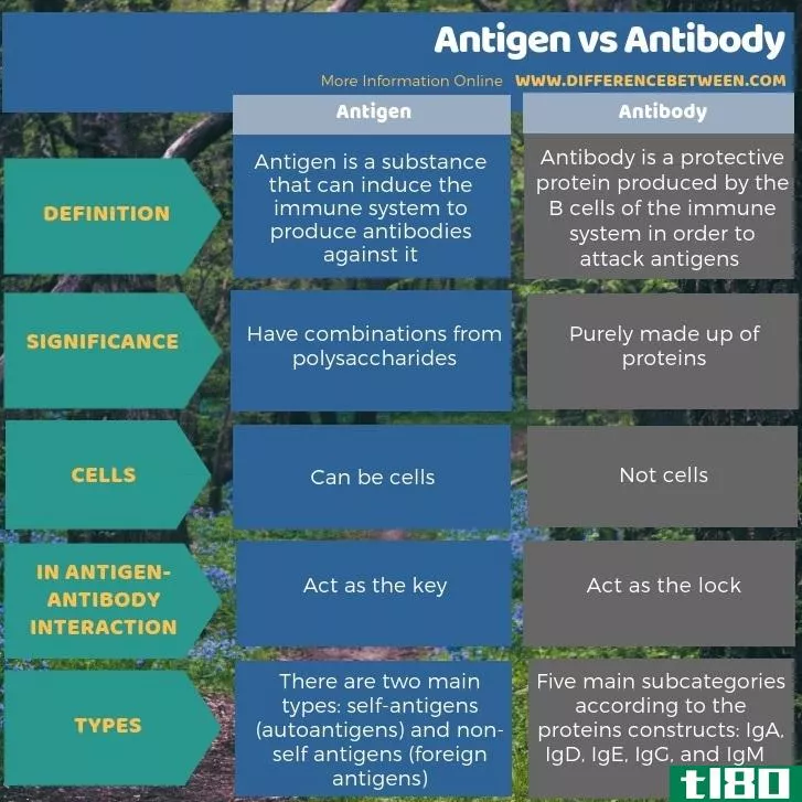抗原(antigen)和抗体(antibody)的区别