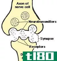 神经递质(neurotransmitter)和神经调节剂(neuromodulator)的区别
