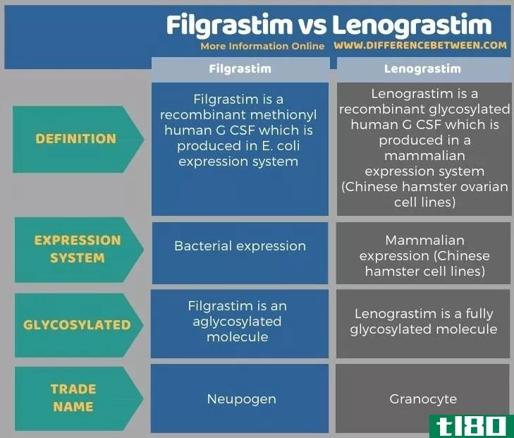 非格拉司汀(filgrastim)和列诺格拉斯蒂姆(lenograstim)的区别