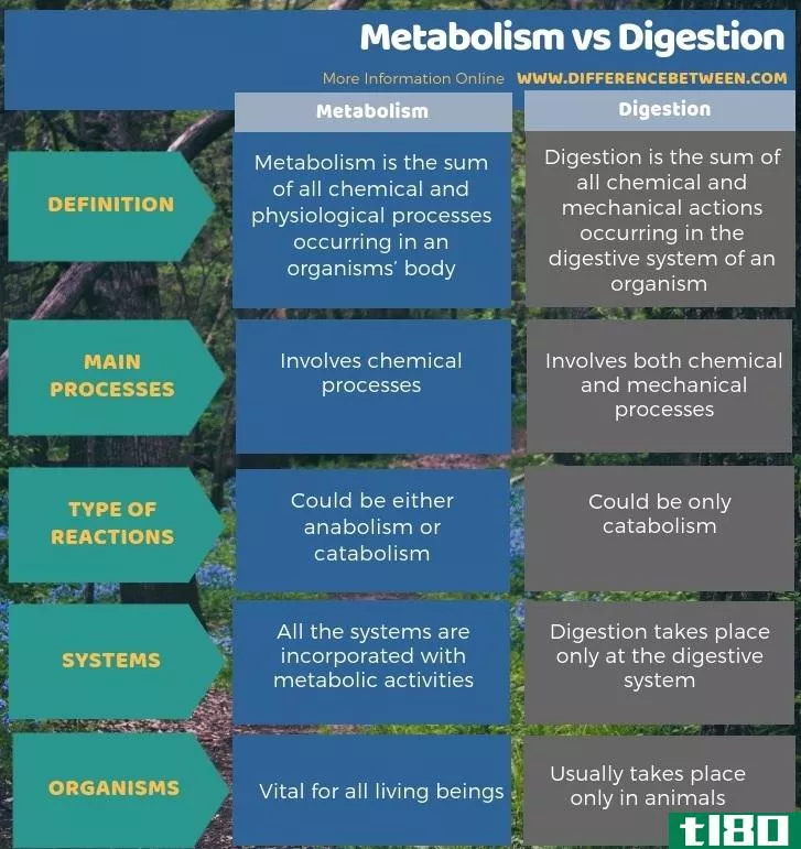 新陈代谢(metaboli**)和消化(digestion)的区别