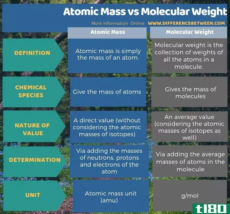 原子质量(atomic mass)和分子量(molecular weight)的区别