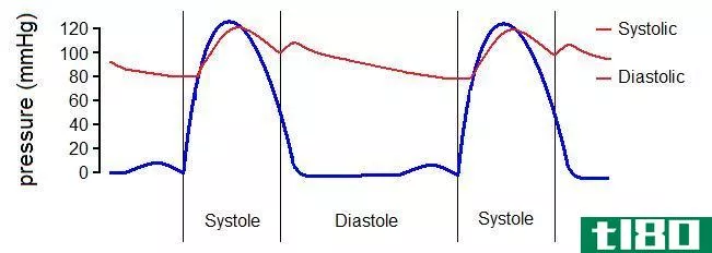 收缩(systolic)和舒张压(diastolic pressure)的区别