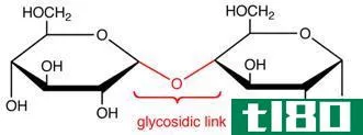 糖苷键(glycosidic bond)和肽键(peptide bond)的区别