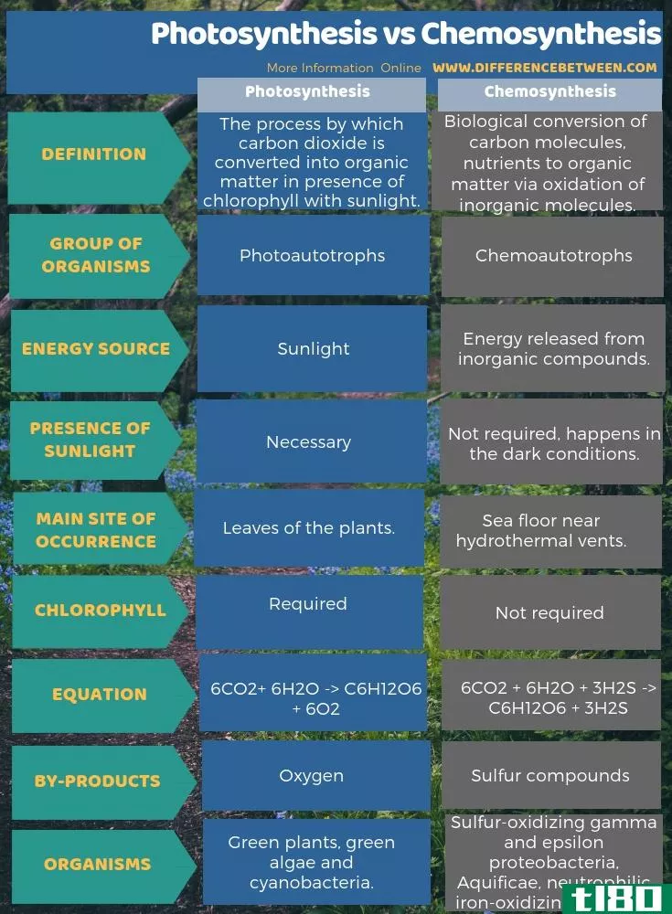 光合作用(photosynthesis)和化学合成(chemosynthesis)的区别