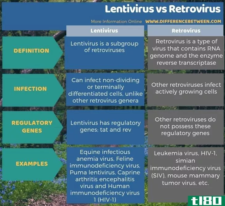 慢病毒(lentivirus)和逆转录病毒(retrovirus)的区别