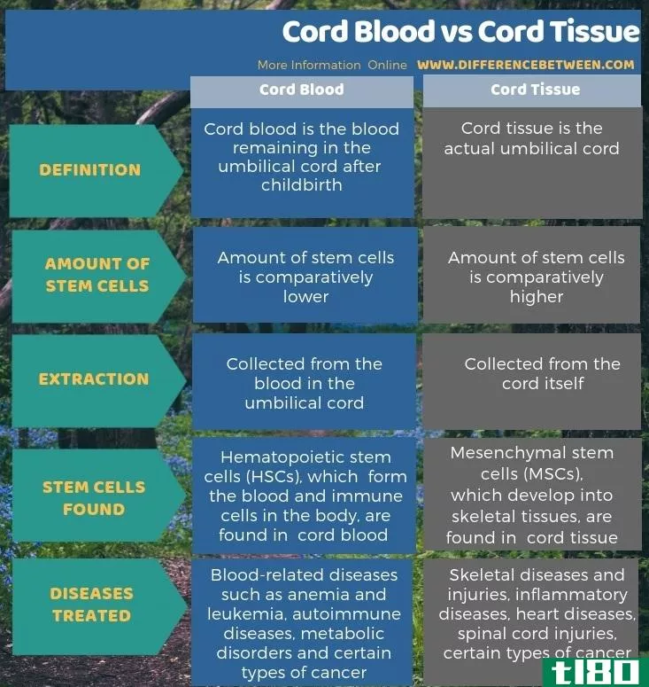 脐带血(cord blood)和脐带组织(cord tissue)的区别