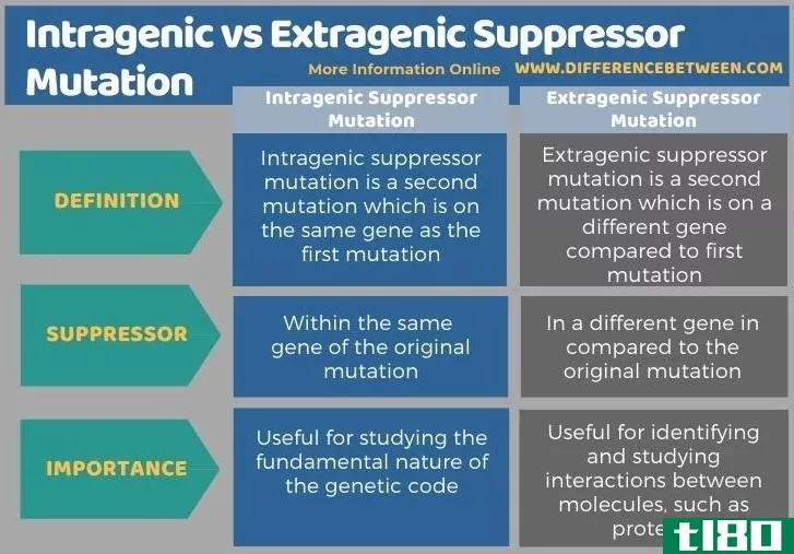 基因内(intragenic)和外基因抑制突变(extragenic suppressor mutation)的区别