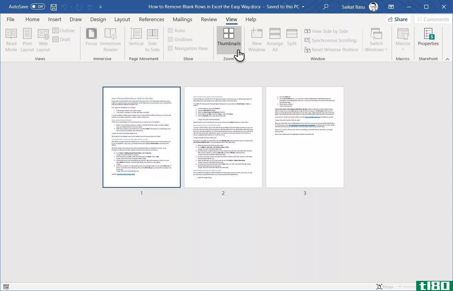 Microsoft Word Thumbnails in the Side to Side View 