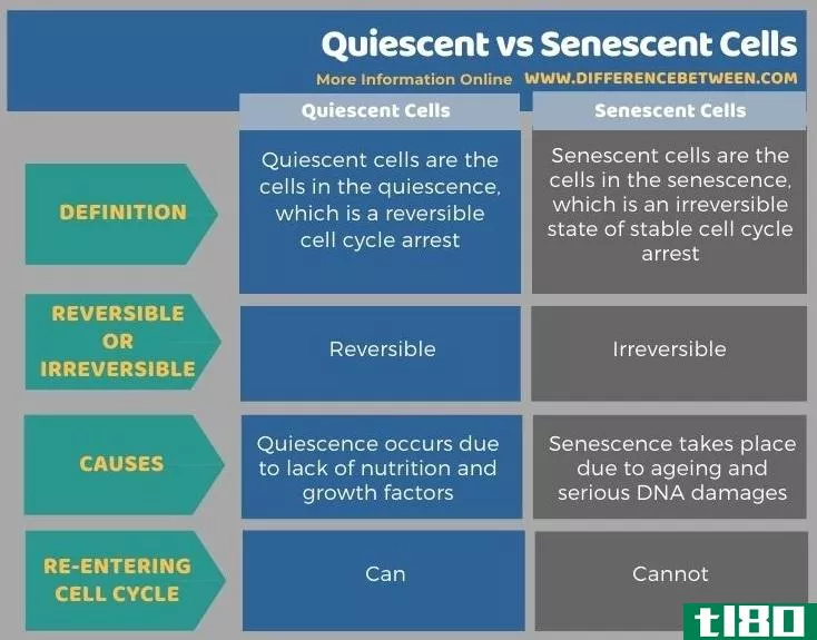 静止的(quiescent)和衰老细胞(senescent cells)的区别